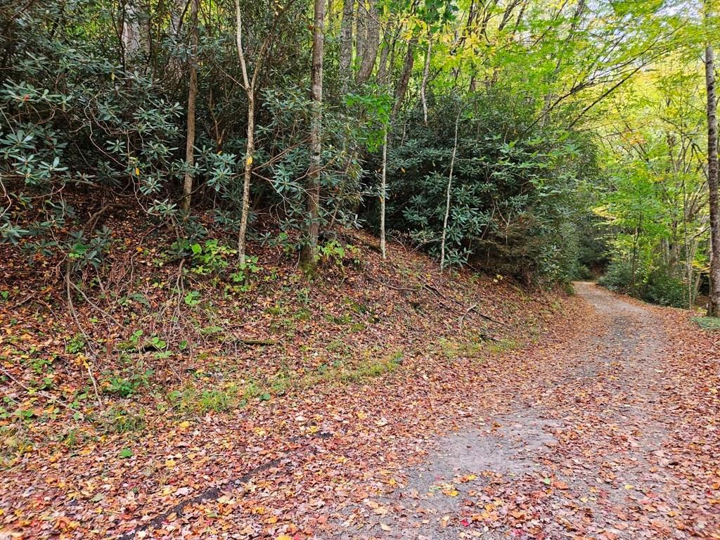 Lot 14b Pennington Branch Road Property Photo 1