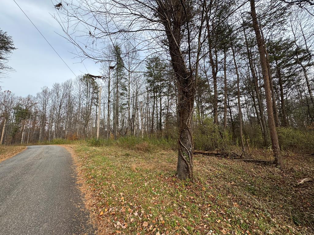 0 Pine Knoll Farms Loop Property Photo 1