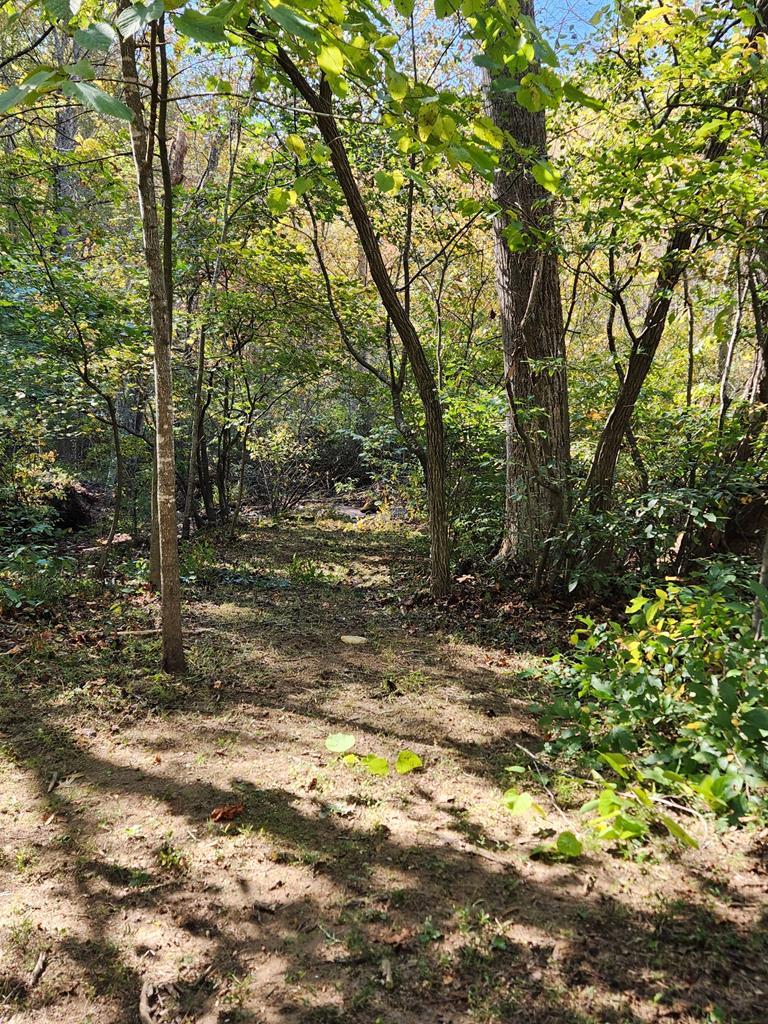 947 Valley End Property Photo 13