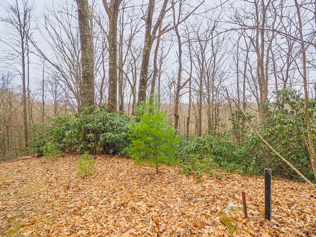 Tbd Spring Lure Trl Property Photo 1