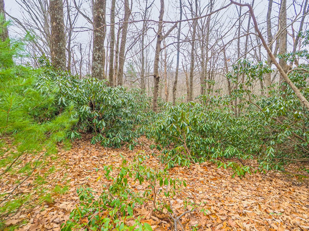 Tbd Spring Lure Trl Property Photo 2