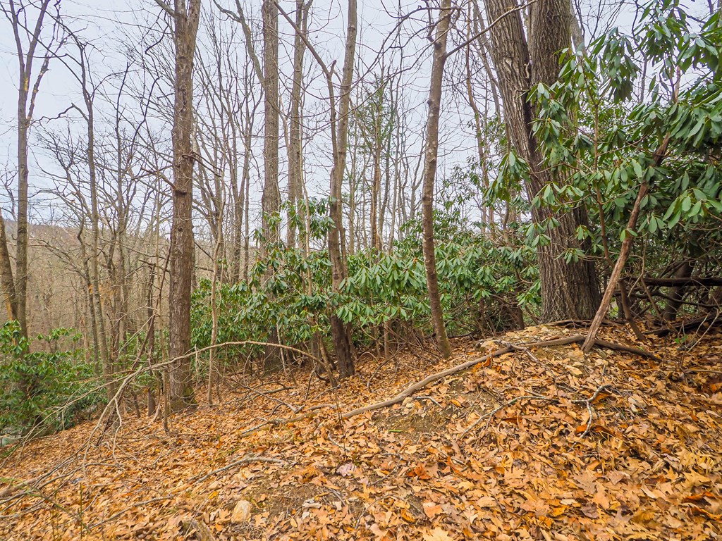 Tbd Spring Lure Trl Property Photo 5