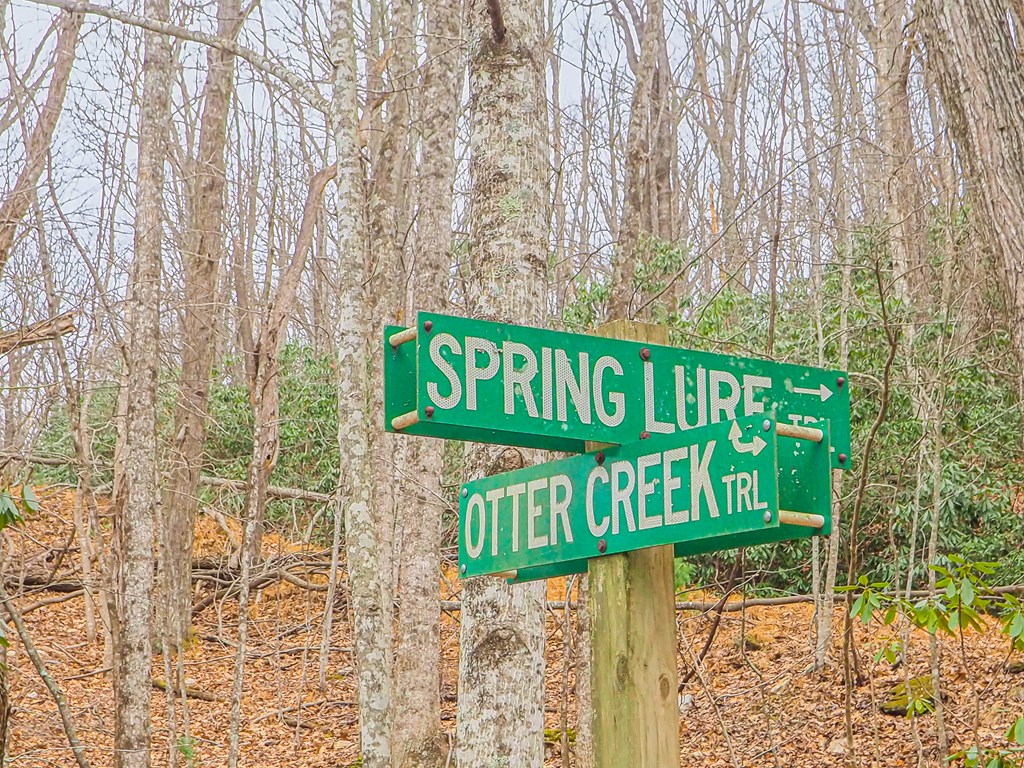 Tbd Spring Lure Trl Property Photo 7