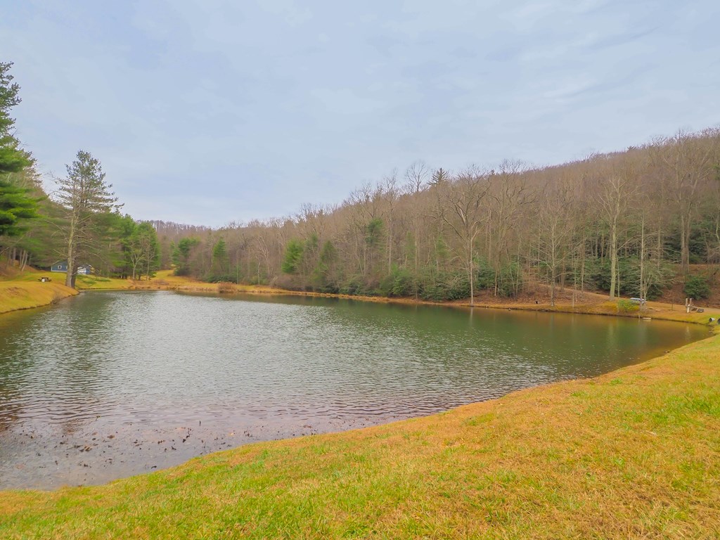 Tbd Spring Lure Trl Property Photo 9