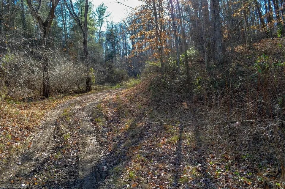 Lot 2&3 Brooksfield Rd Property Photo 6