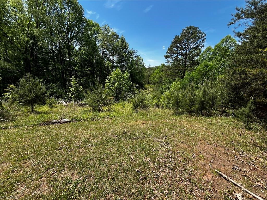 0000 Virgilina Circle Property Photo 6