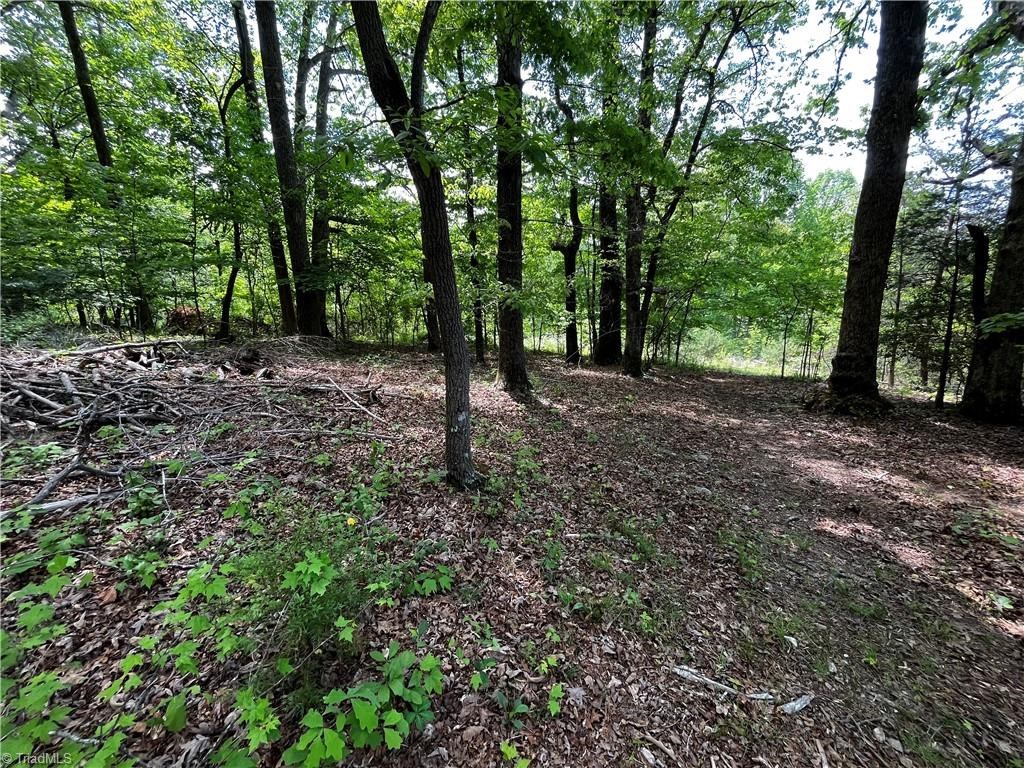 0000 Virgilina Circle Property Photo 7
