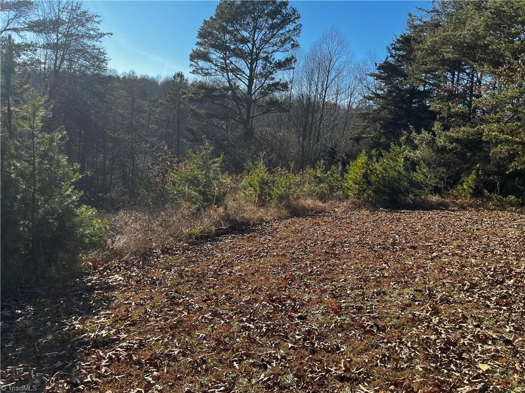 0000 Virgilina Circle Property Photo 8