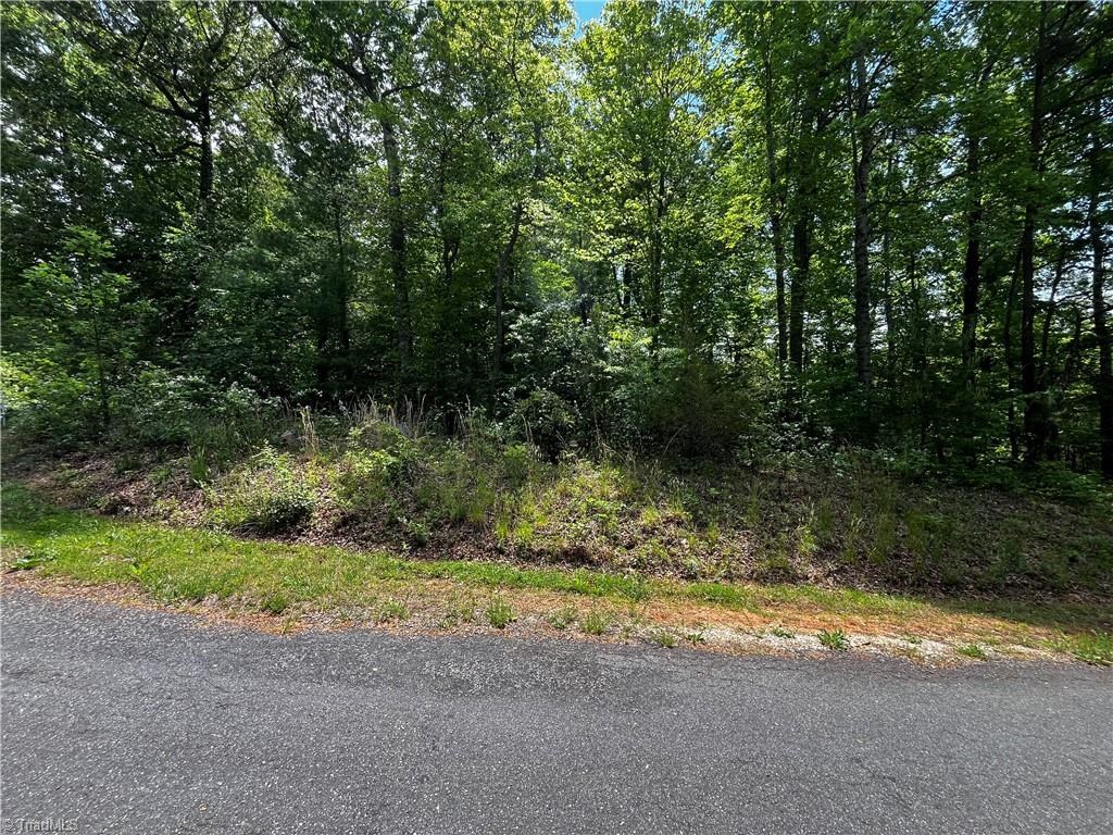 0000 Virgilina Circle Property Photo 10