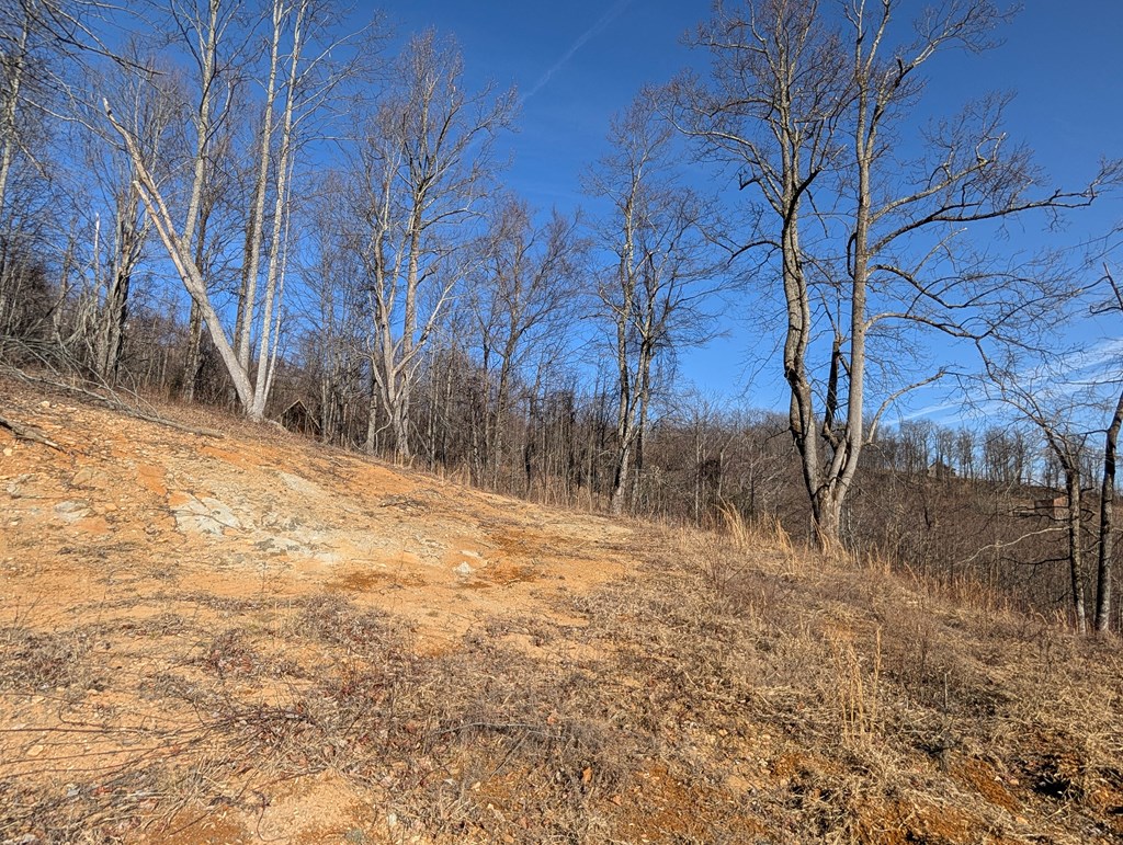 Tbd Hunters Path Property Photo 4