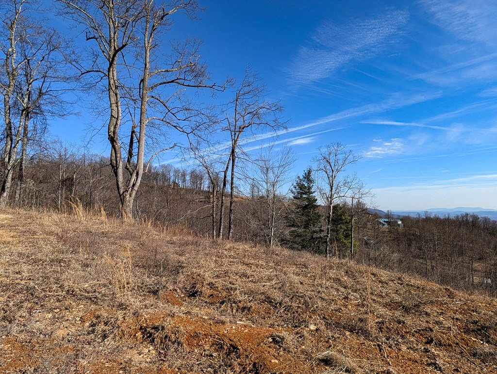 Tbd Hunters Path Property Photo 5