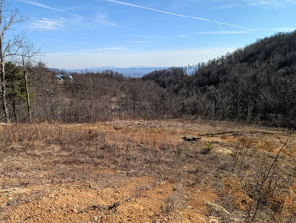 Tbd Hunters Path Property Photo 6