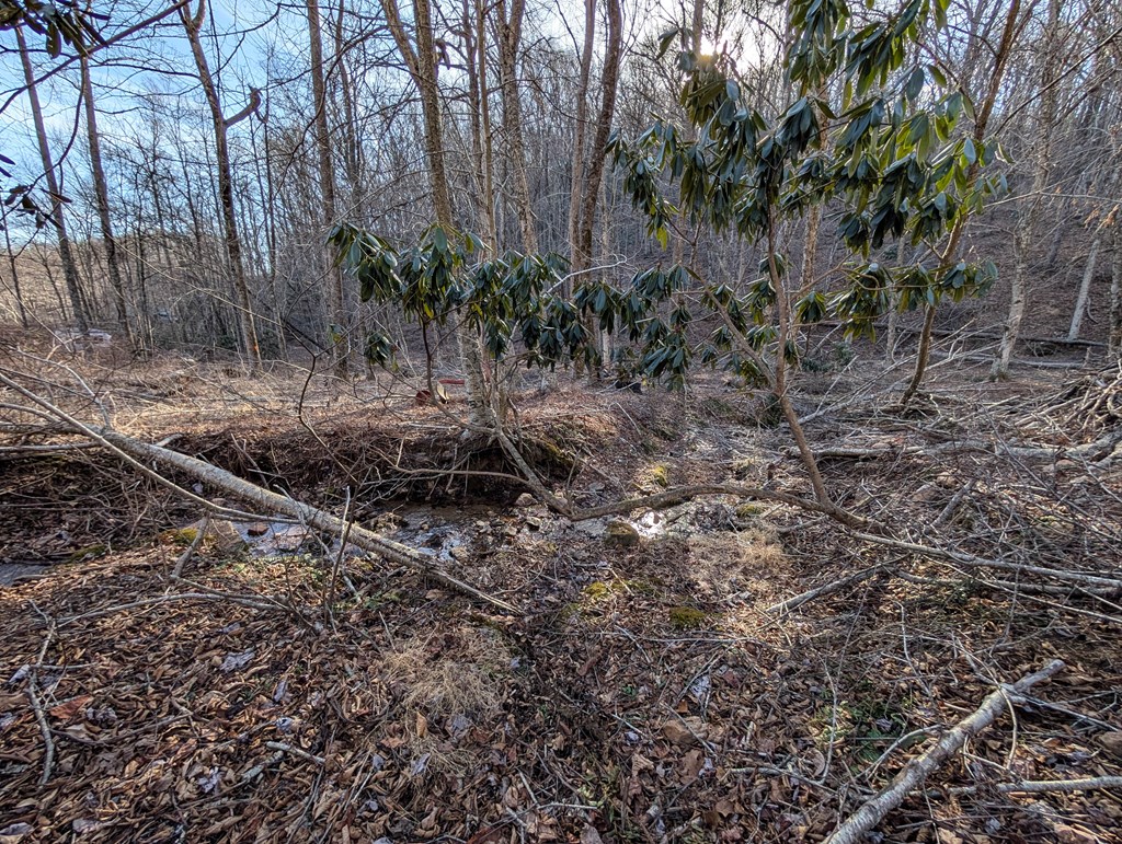 Tbd Hunters Path Property Photo 12