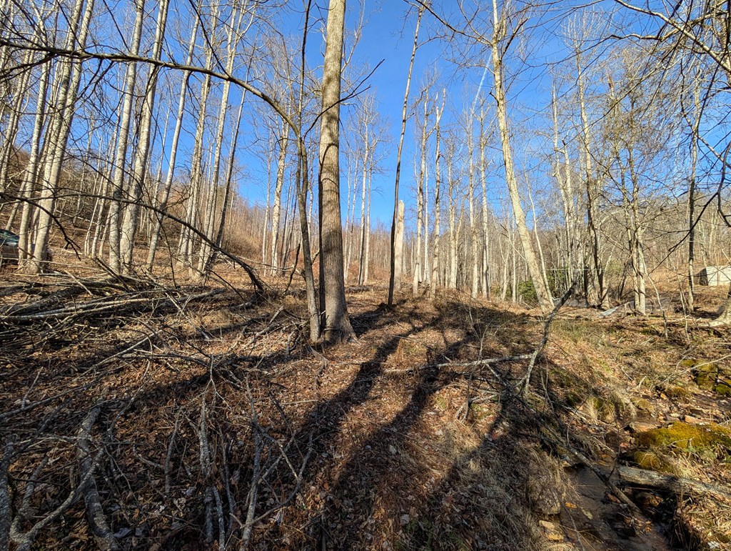 Tbd Hunters Path Property Photo 16