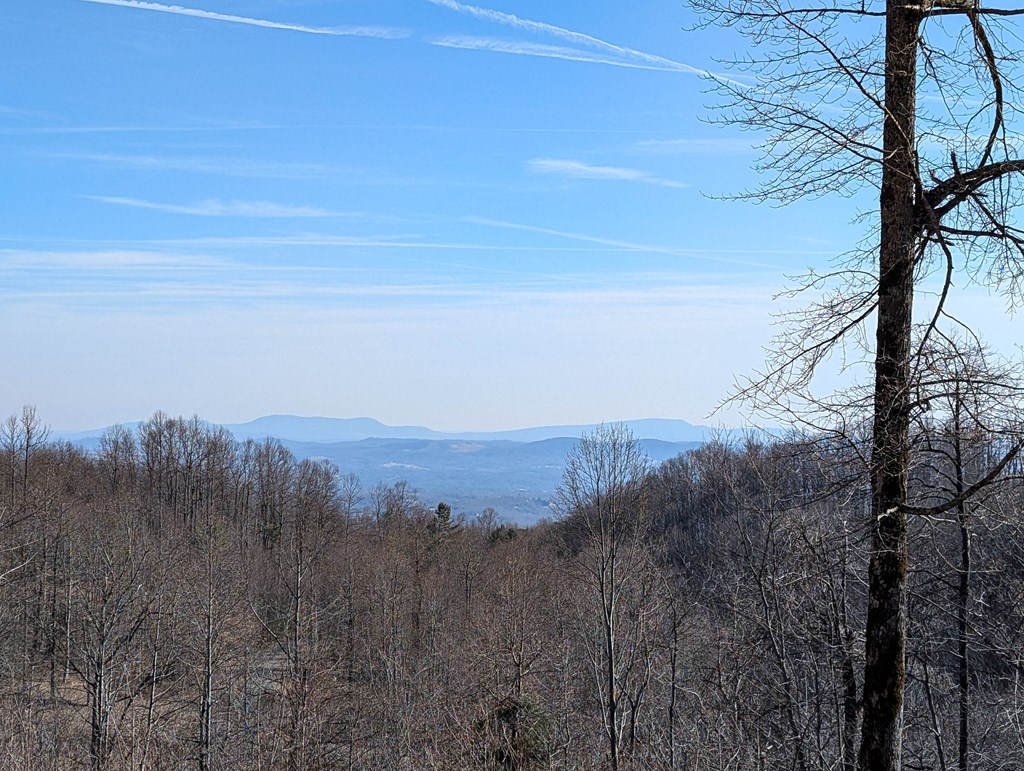 Tbd Hunters Path Property Photo 18