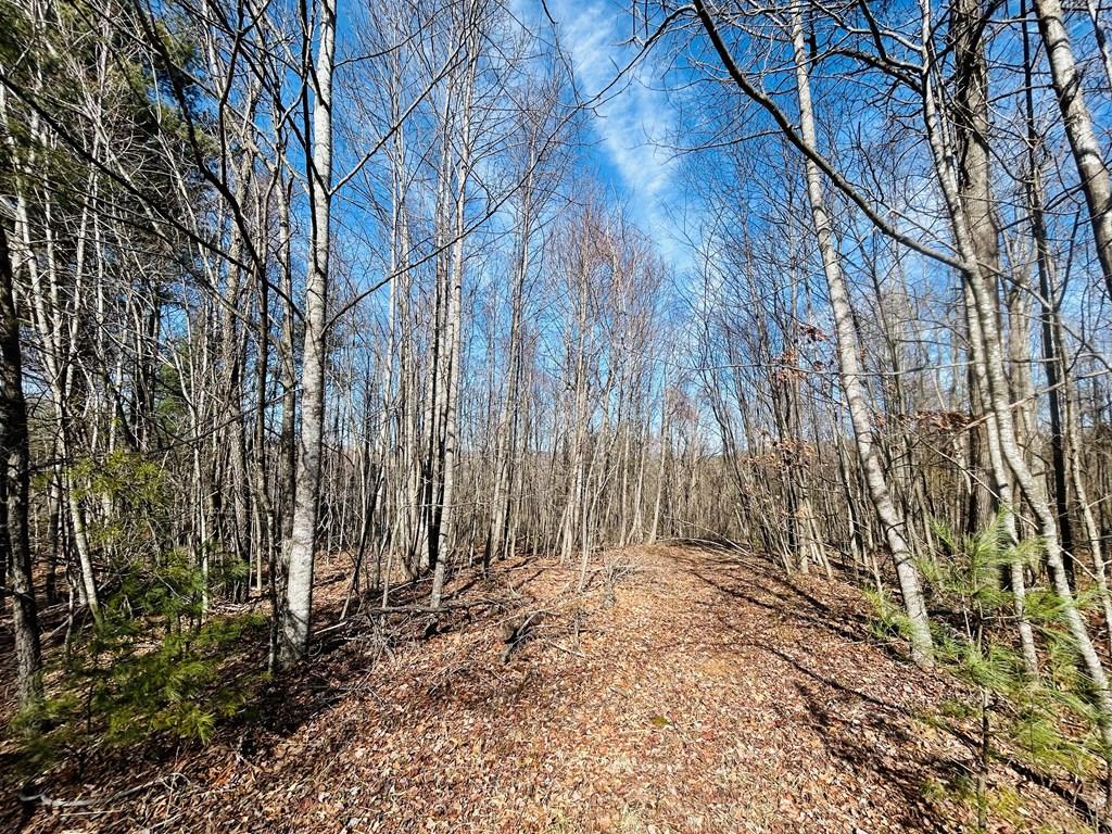 Tbd Valley Hill Dr/meadow Creek Rd Property Photo 1