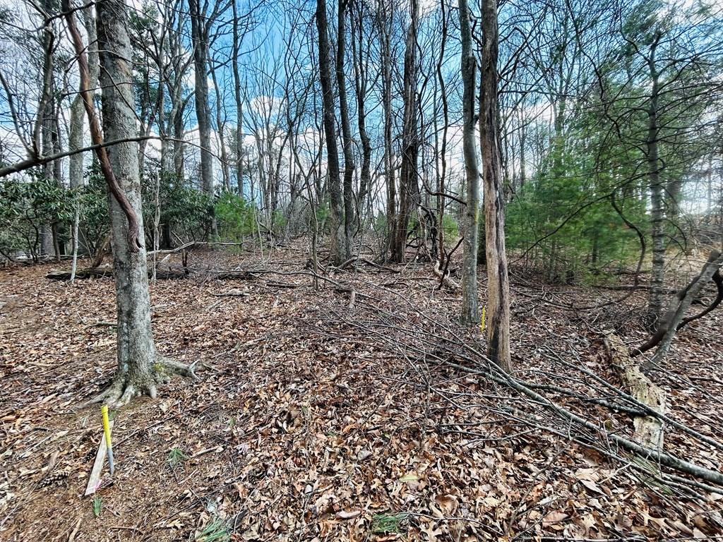 Tbd Old Hollow Trail Property Photo 1