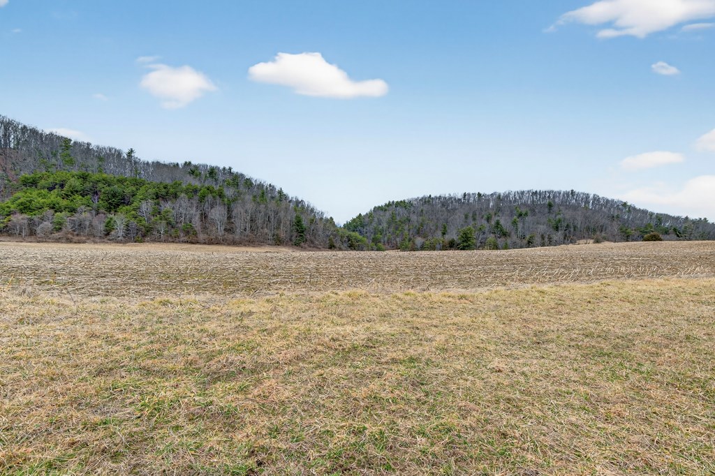 Tbd Widener Valley Rd Property Photo 7
