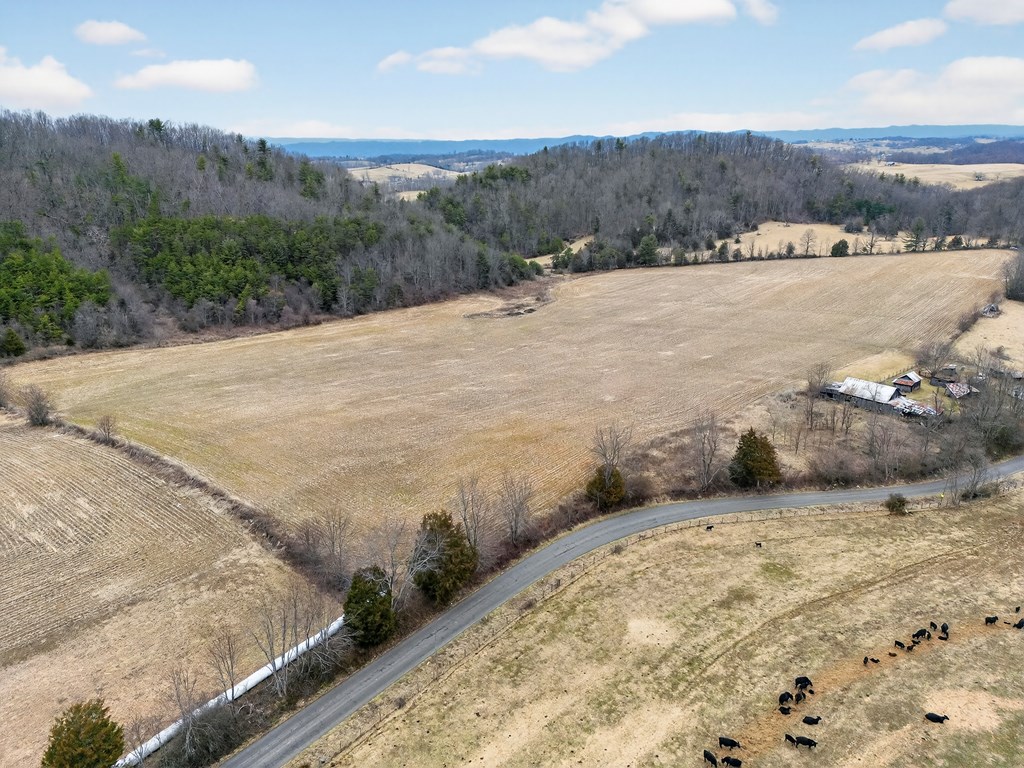 Tbd Widener Valley Rd Property Photo 13