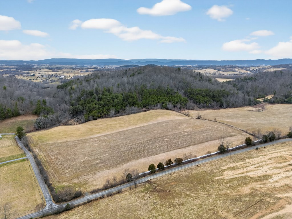 Tbd Widener Valley Rd Property Photo 19