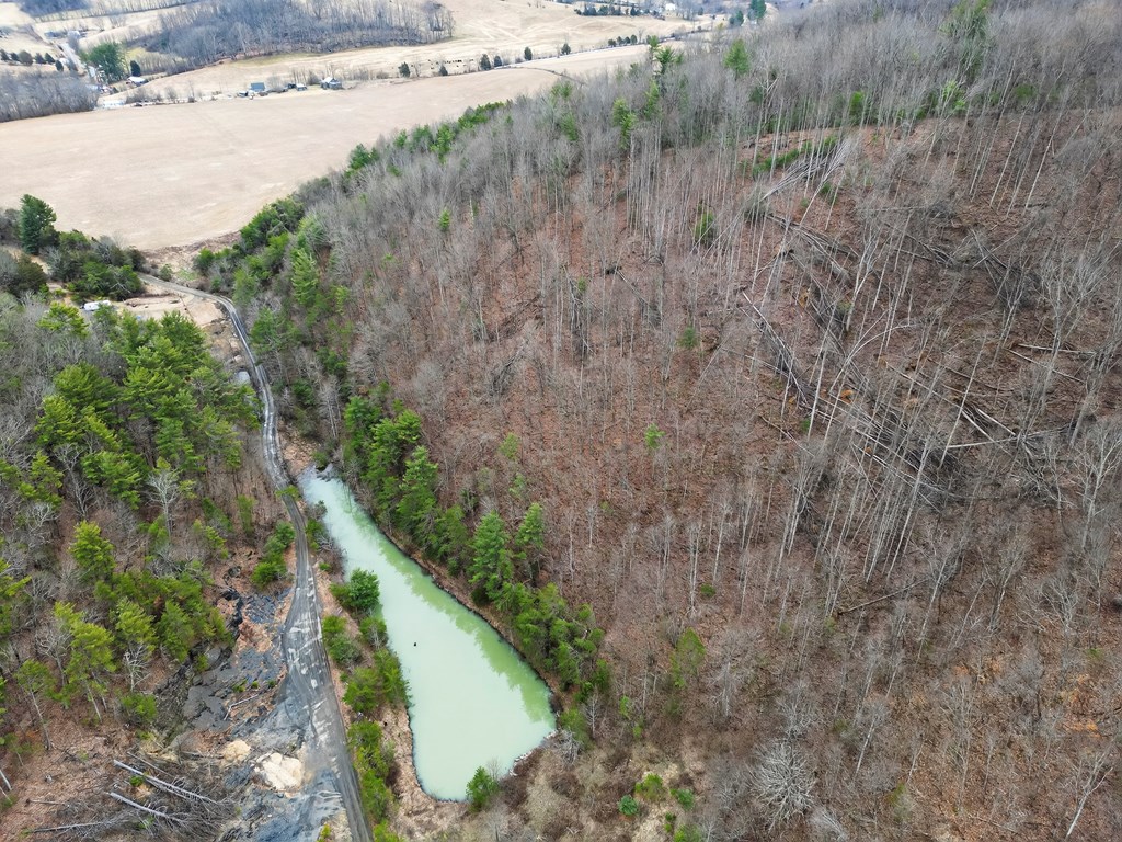 Tbd Widener Valley Rd Property Photo 20