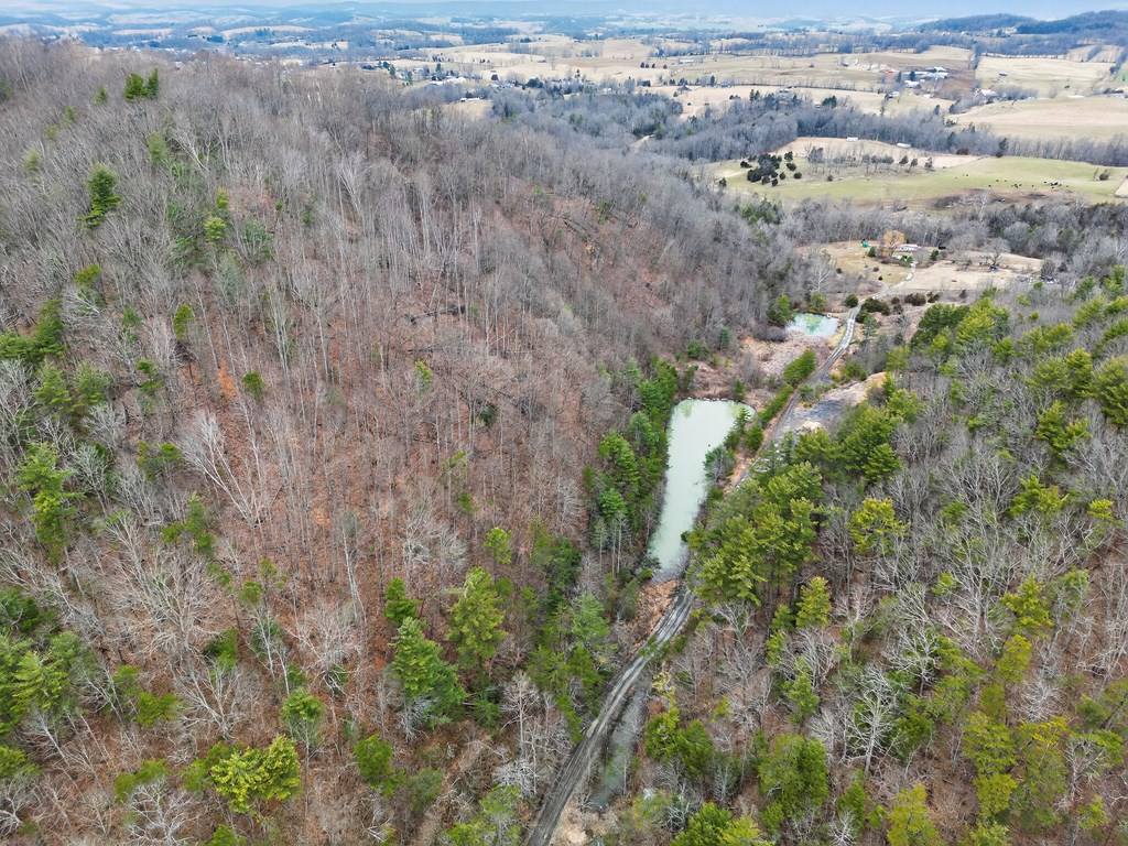 Tbd Widener Valley Rd Property Photo 21