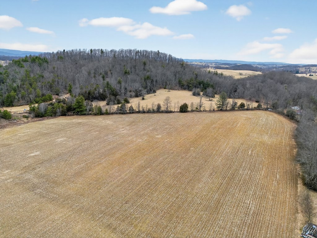 Tbd Widener Valley Rd Property Photo 35