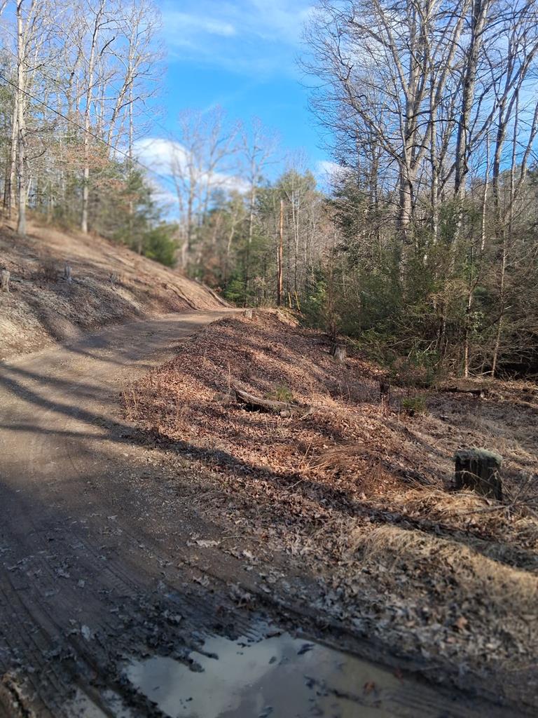 Tbd Gullion Fork Road Property Photo 1