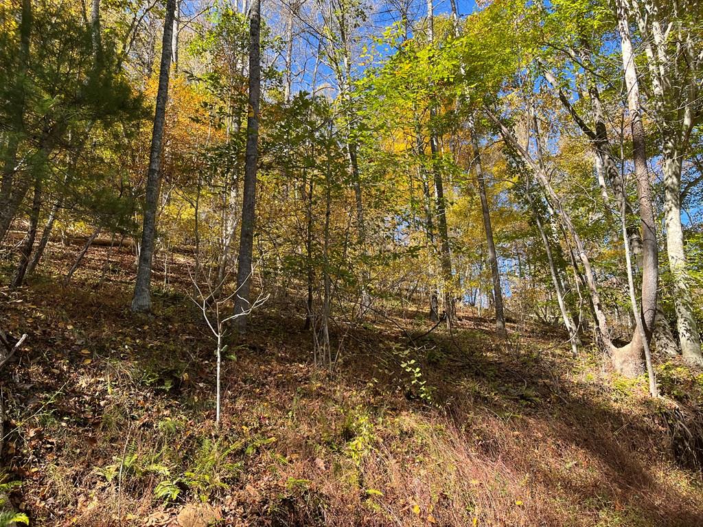 Tbd Grayson Parkway Property Photo 1