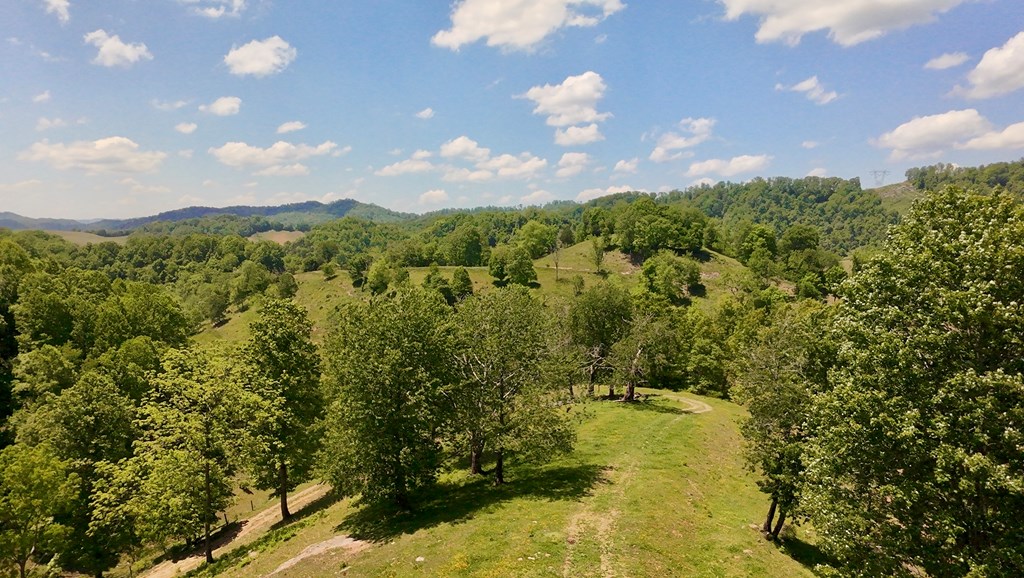 Tbd Dove Tree Ln. Property Photo 2