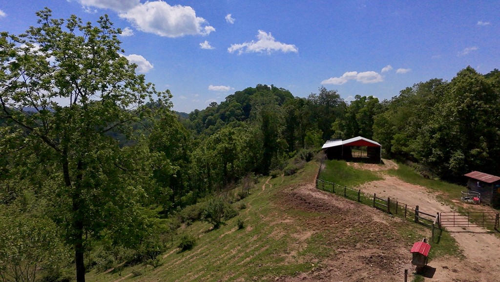 Tbd Dove Tree Ln. Property Photo 13