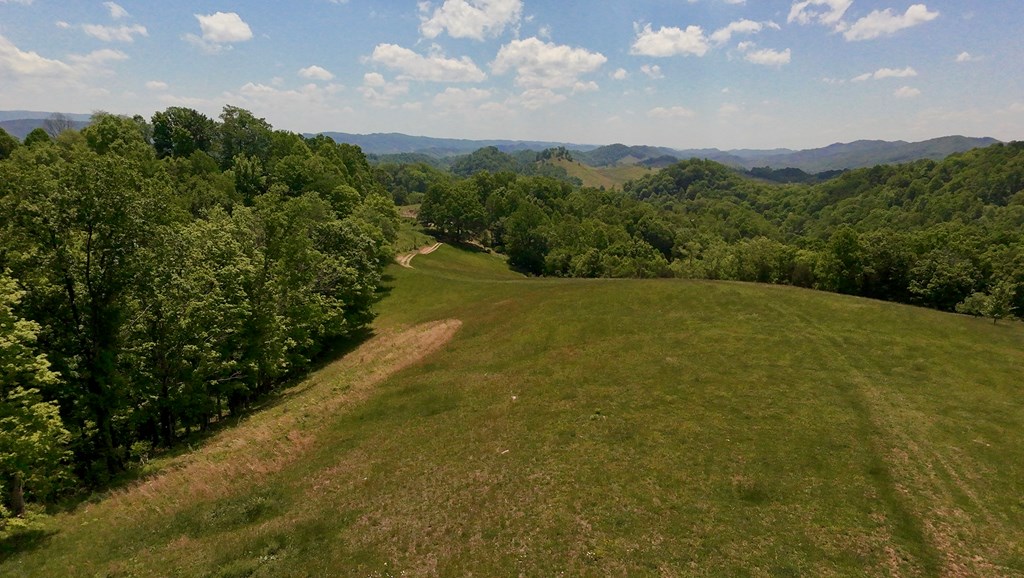 Tbd Dove Tree Ln. Property Photo 14