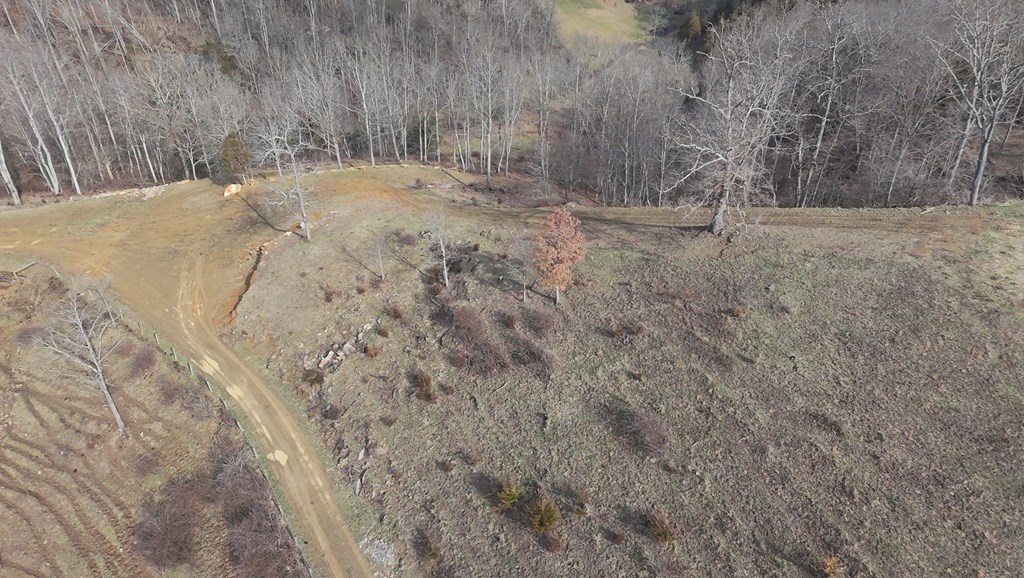 Tbd Dove Tree Ln. Property Photo 21