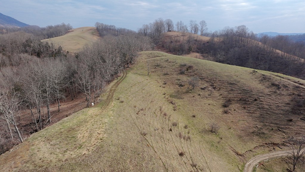 Tbd Dove Tree Ln. Property Photo 22