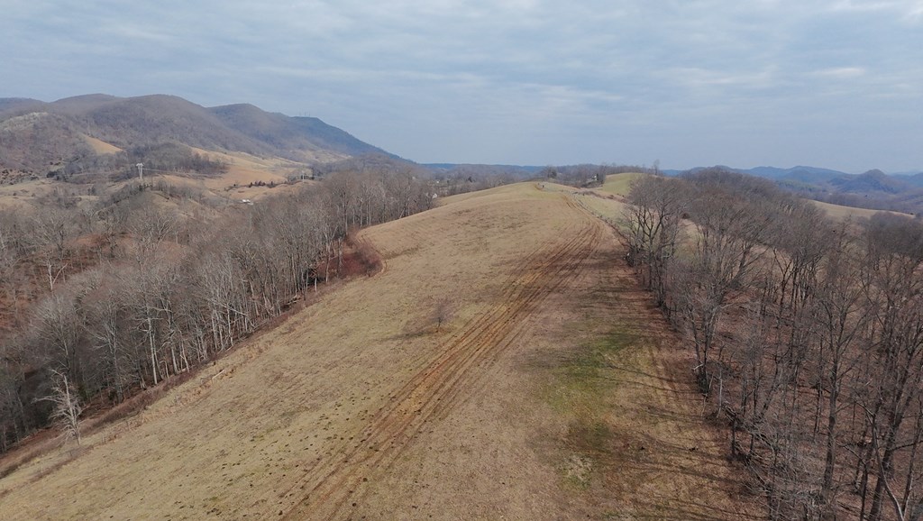 Tbd Dove Tree Ln. Property Photo 25