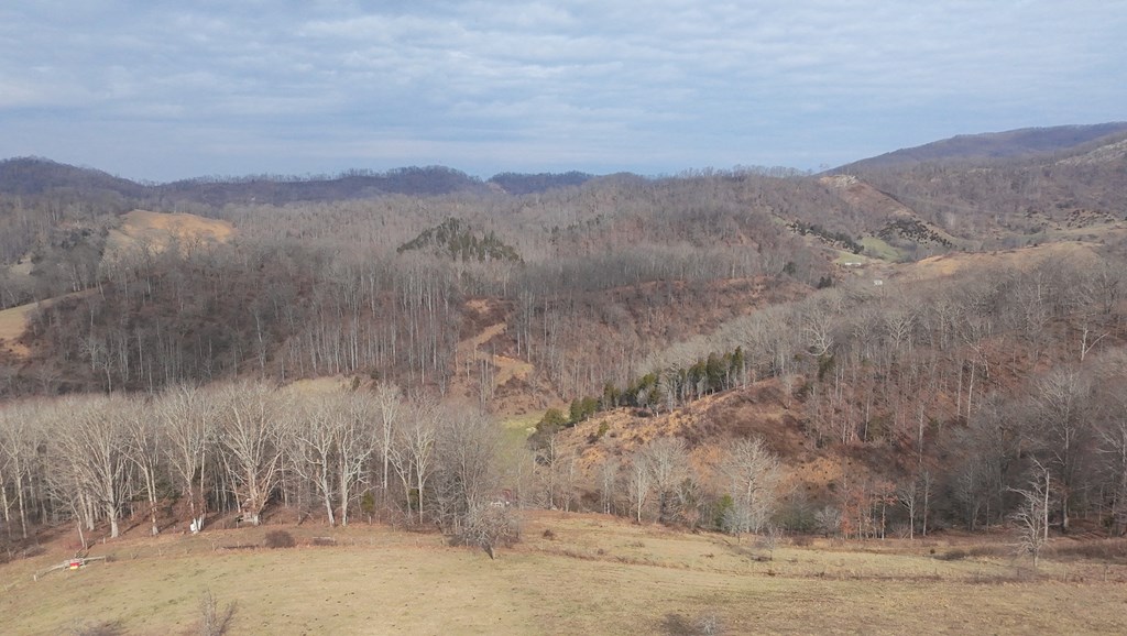 Tbd Dove Tree Ln. Property Photo 26
