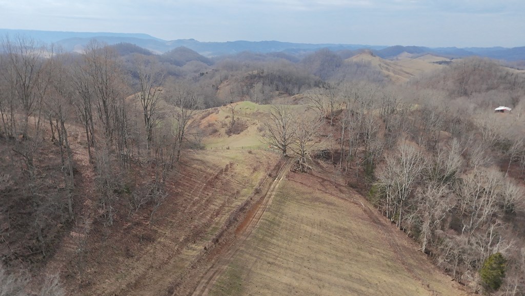Tbd Dove Tree Ln. Property Photo 29