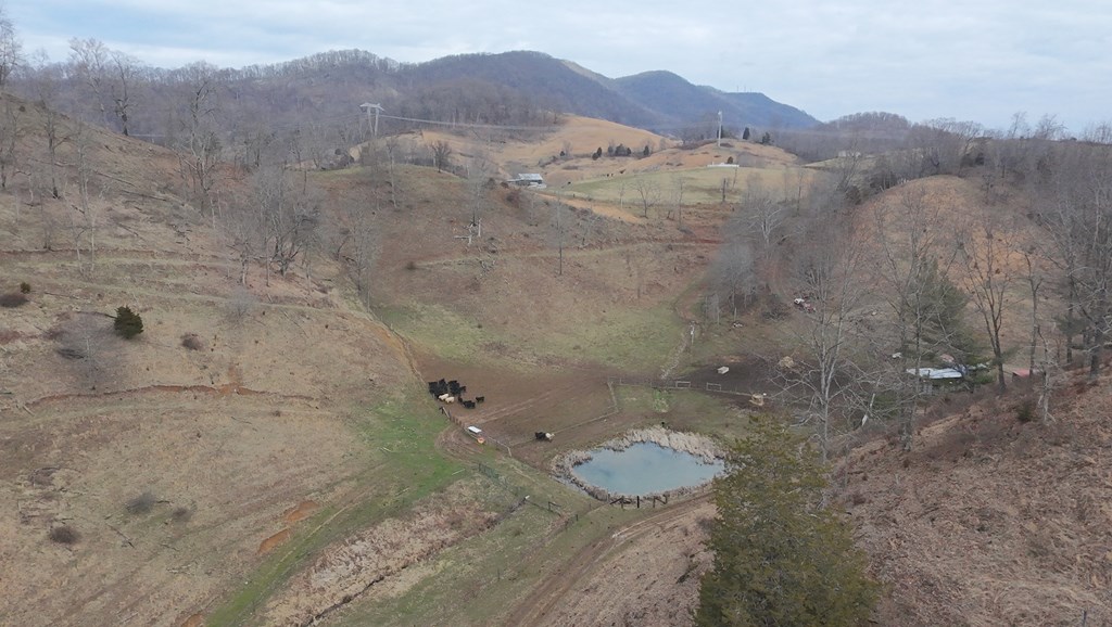 Tbd Dove Tree Ln. Property Photo 43