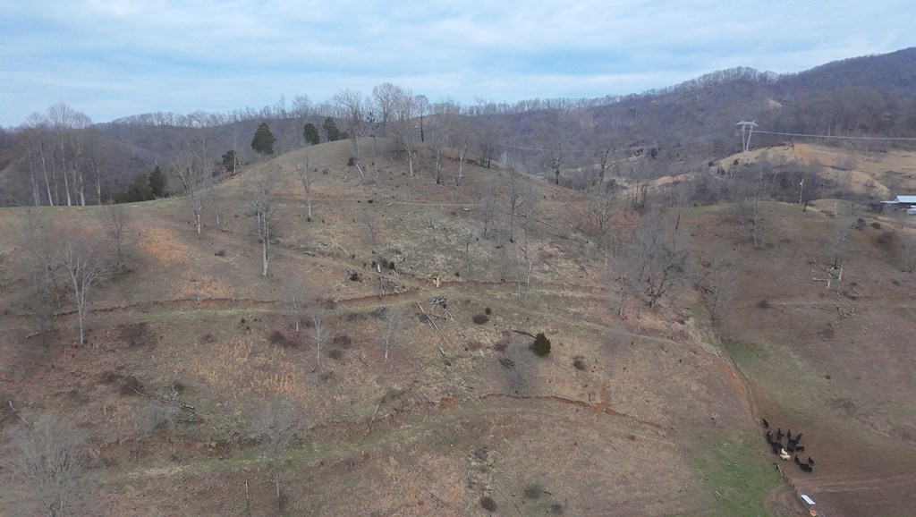 Tbd Dove Tree Ln. Property Photo 44