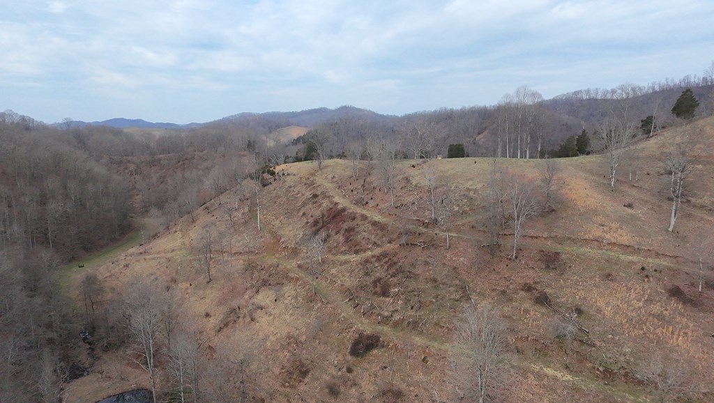 Tbd Dove Tree Ln. Property Photo 45
