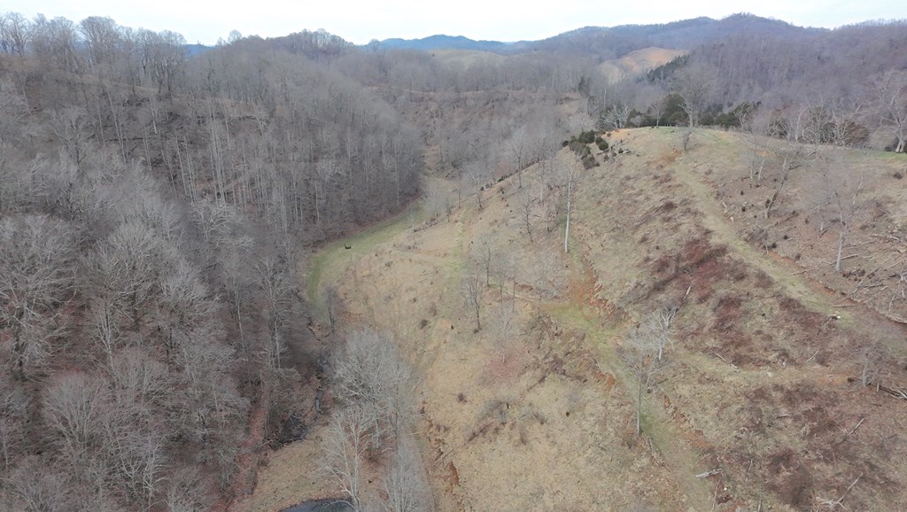 Tbd Dove Tree Ln. Property Photo 46