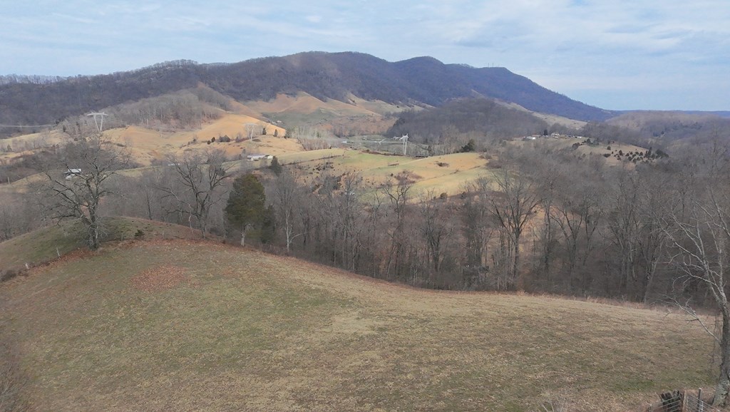 Tbd Dove Tree Ln. Property Photo 55