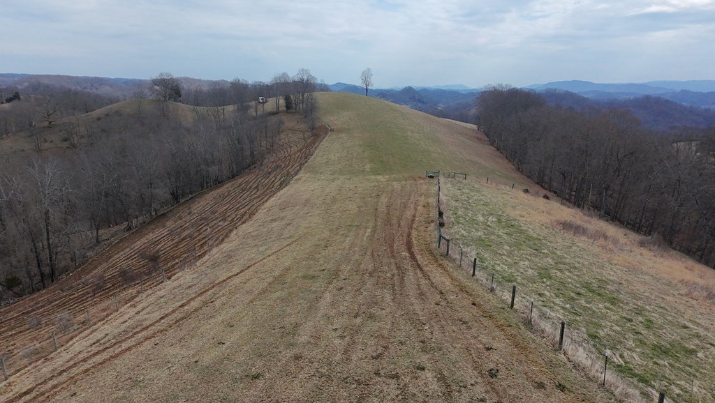 Tbd Dove Tree Ln. Property Photo 63