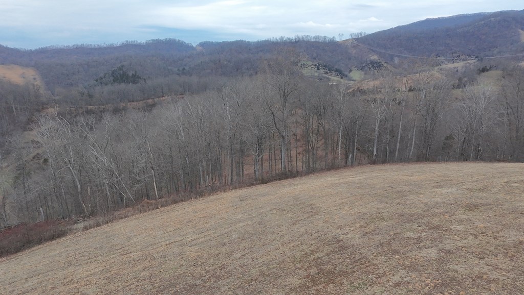 Tbd Dove Tree Ln. Property Photo 71