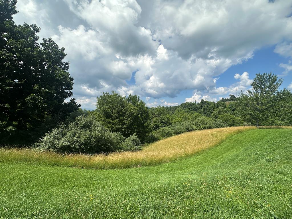 Tbd York Ridge Estates Property Photo 1
