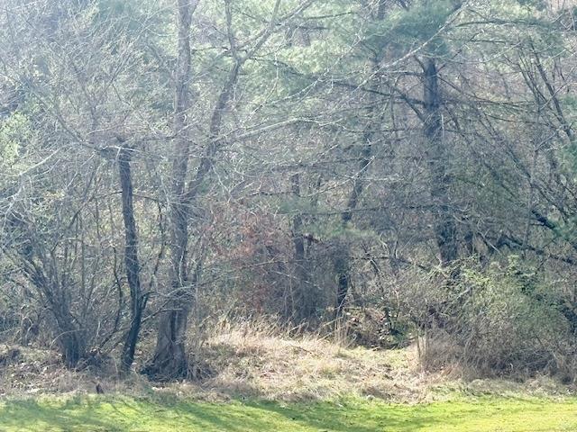 Tbd Martin Rd. Property Photo 1