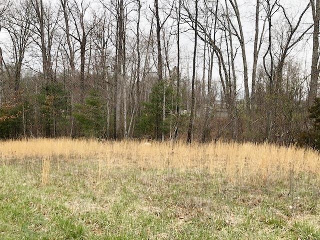 Tbd Della Lane Property Photo 1