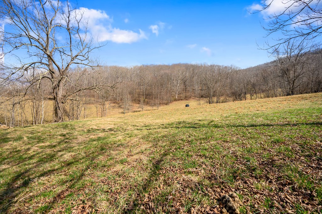 568 Round Bottom Dr. Property Photo 48