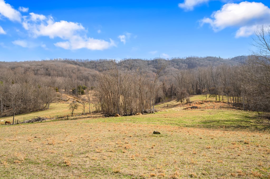 568 Round Bottom Dr. Property Photo 54