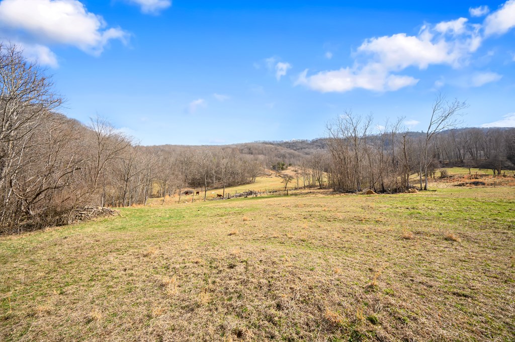 568 Round Bottom Dr. Property Photo 55